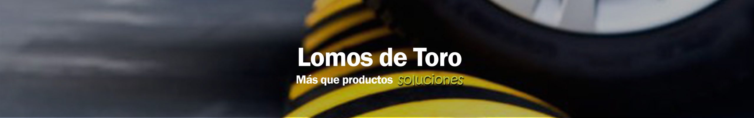 Lomos de toro