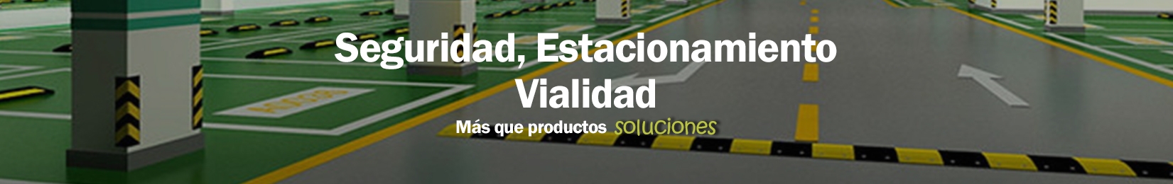 Seguridad estacionamiento vialidad